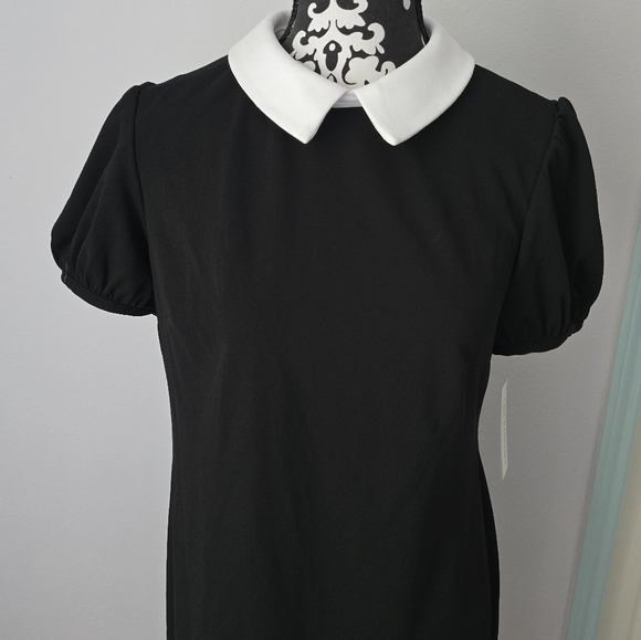 Shelby & Palmer Black Collared Dress Size 12 - Picture 9 of 12